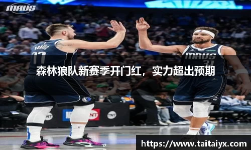 森林狼队新赛季开门红，实力超出预期