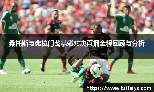 桑托斯与弗拉门戈精彩对决直播全程回顾与分析