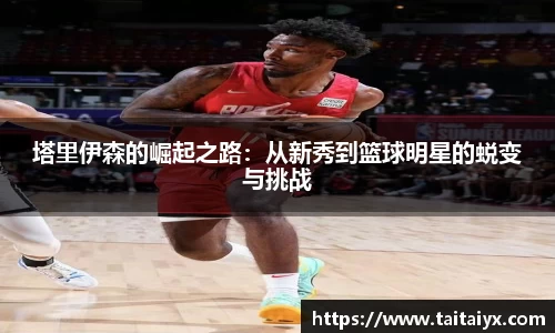 星空·综合体育中国官网