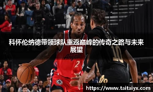 星空·综合体育官方网站