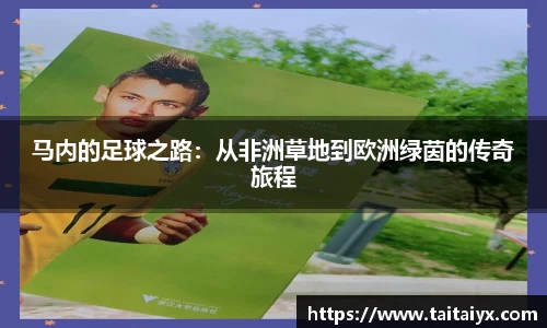 星空·综合体育中国官网