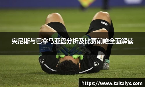 星空·综合体育中国官方网站