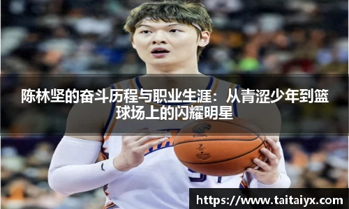 xingkong.com陈林坚的奋斗历程与职业生涯：从青涩少年到篮球场上的闪耀明星